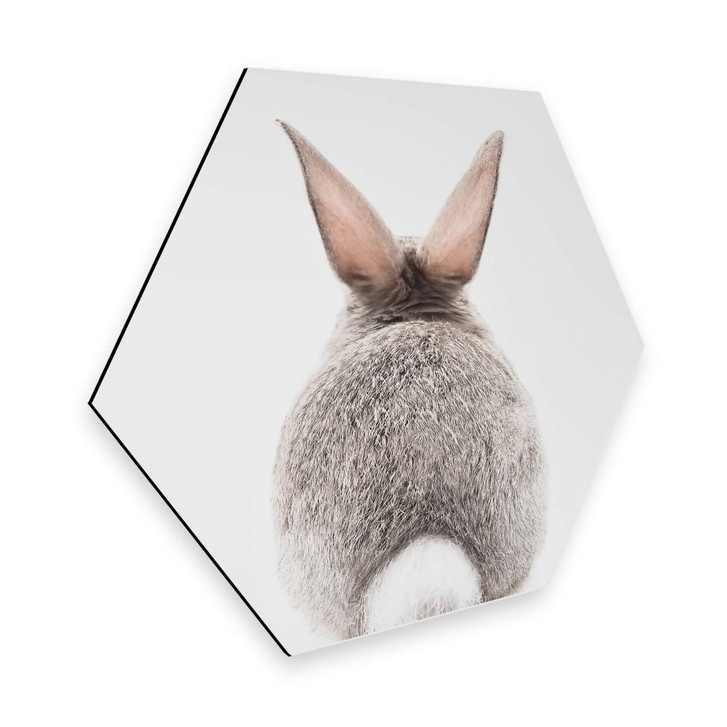 Hexagon - Alu-Dibond - Sisi & Seb - Hasenpo - WA253117