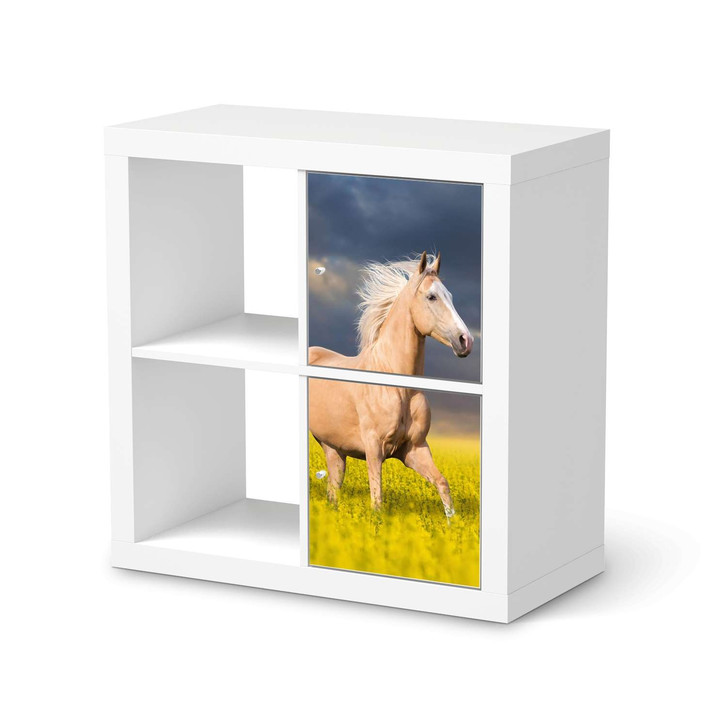 Klebefolie IKEA Expedit Regal 2 Türen (hoch) - Wildpferd - CR109443