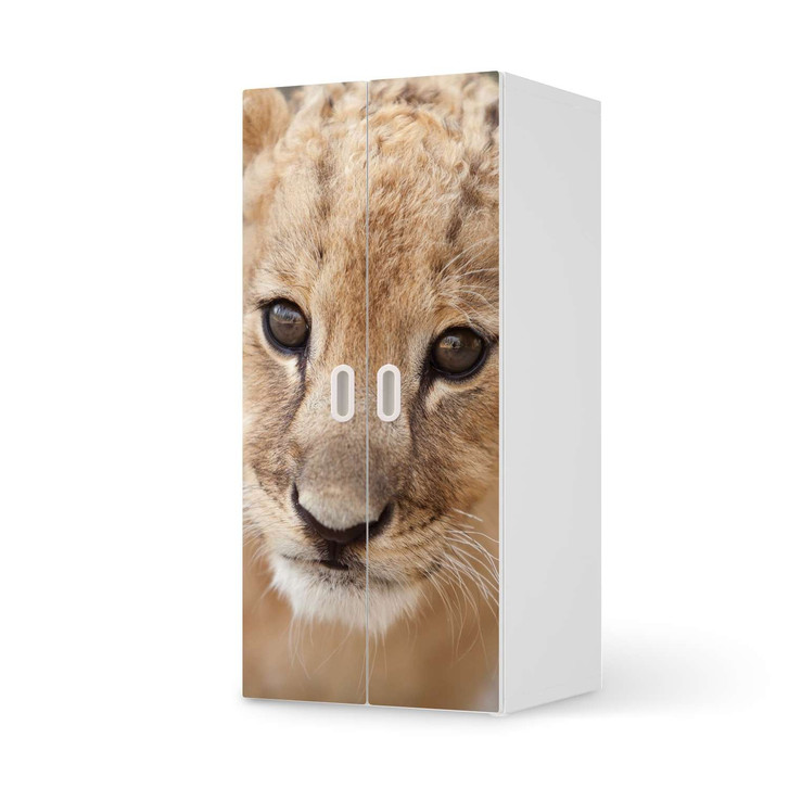 Möbelfolie IKEA Stuva / Fritids Schrank - 2 grosse Türen - Simba - CR117881