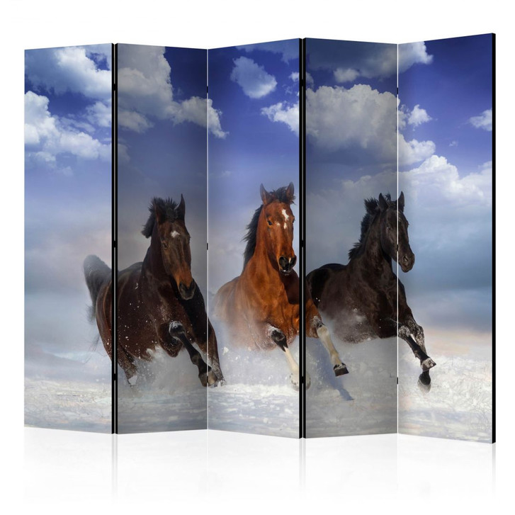 Paravent, Raumteiler freistehend, Trennwand - Galopp im Schnee , 5-teilig - 225 x 172 cm - WA455902