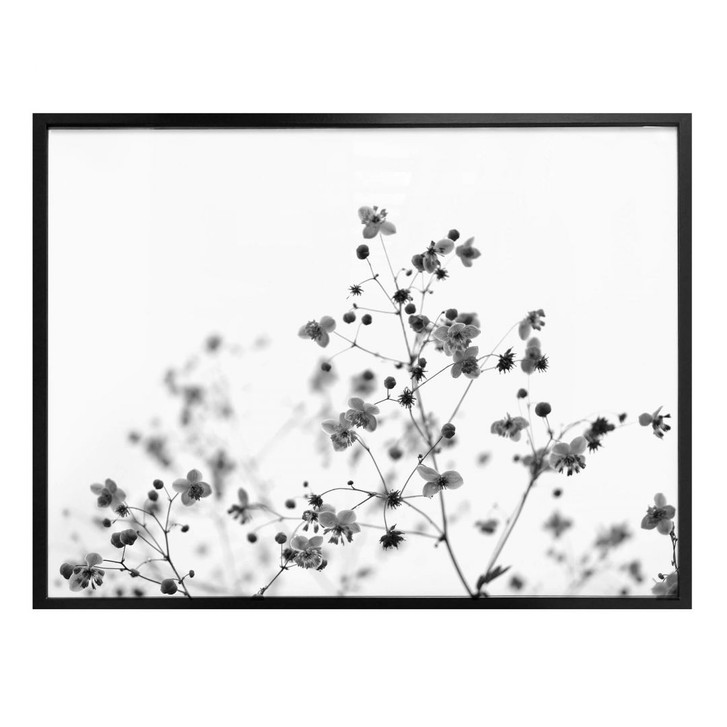 Poster Zarte Wiesengräser - WA266300