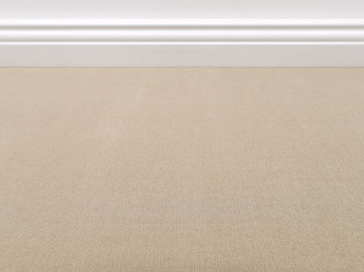 Vorwerk® Bingo Teppichboden Meterware in 8l93 - TS546292
