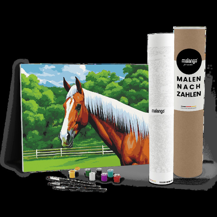 Malen nach Zahlen Leinwandbild - Pferd Padme - WA447162