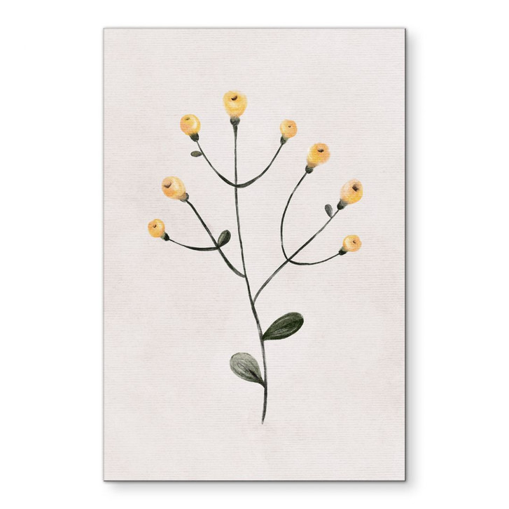 Wandbild Zarte Pflanze mit gelben Blüten - Goed Blauw - Alu-Dibond - WA484828