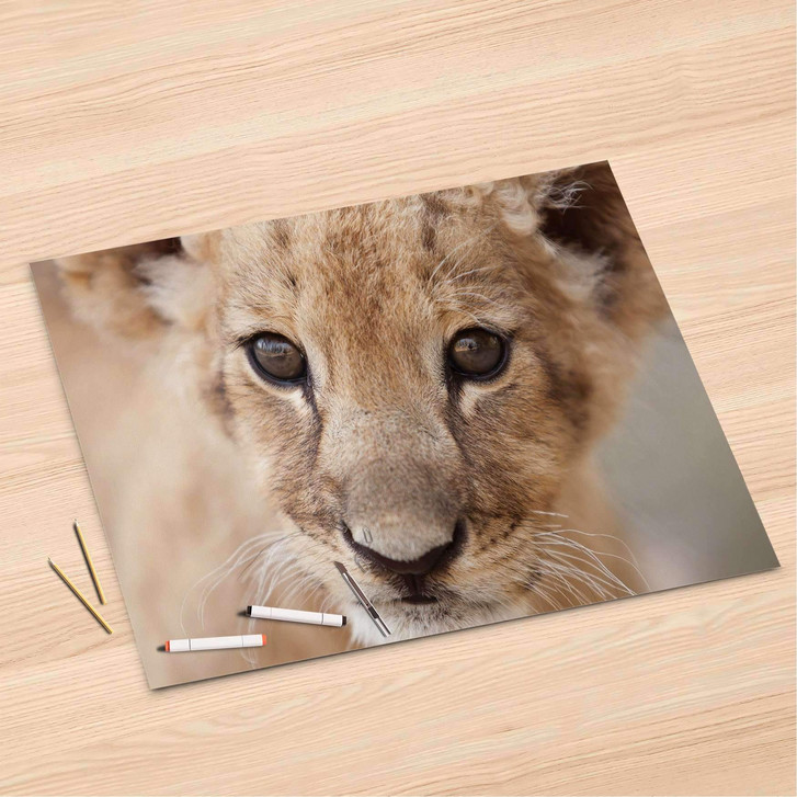 Folienbogen (120x80cm) - Simba - CR106478