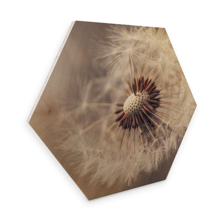 Hexagon - Holz Birke-Furnier Delgado - Pusteblume - WA273758