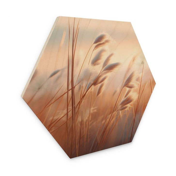 Hexagon Holzbild Dünengras in der Abendsonne - Treechild - WA471928