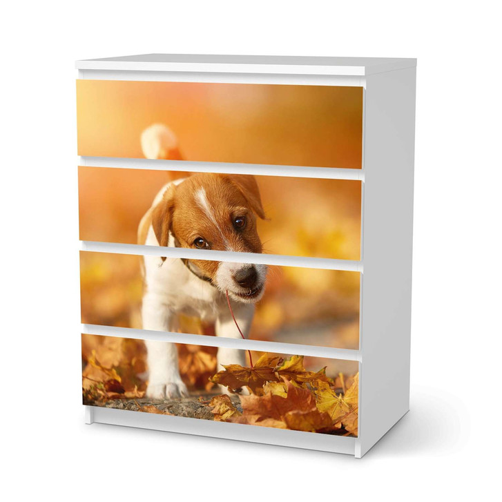 Folie IKEA Malm Kommode 4 Schubladen - Jack the Puppy - CR105632