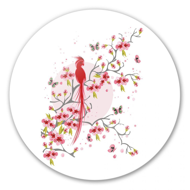 Glasbild Paradiesvogel - rund - WA126610