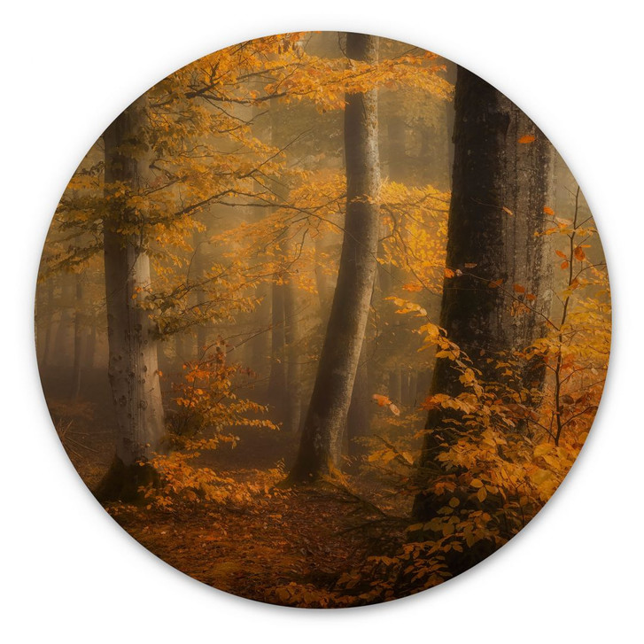 Holzbild Goldene Blätter im nebligen Wald - Maier - Rund - WA443763