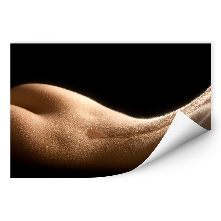 Wallprint Female Body - WA183868