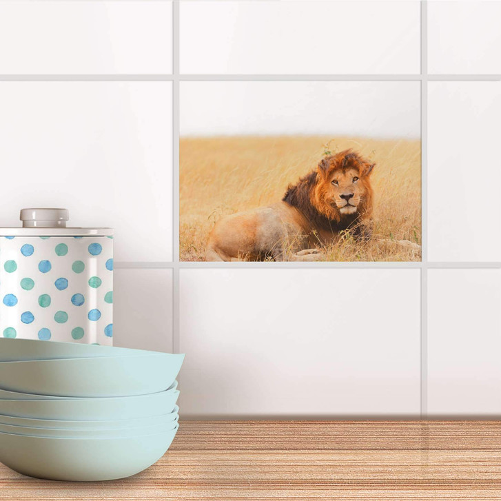 Fliesenfolie - Lion King - CR104142