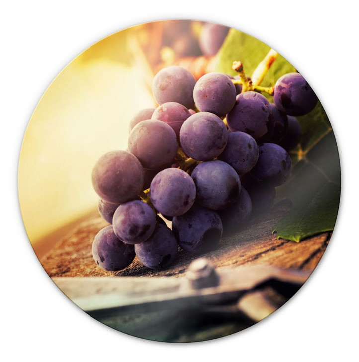 Glasbild Weinlese - rund - WA128969