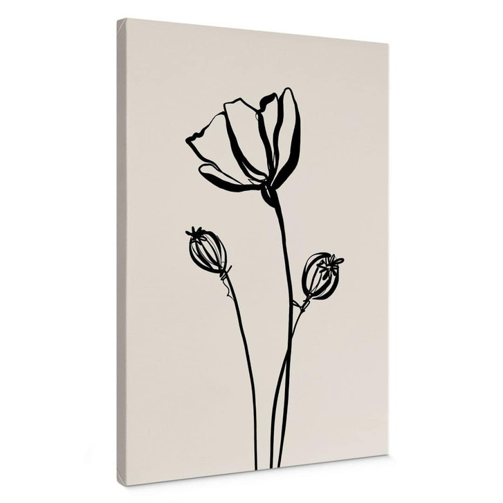 Leinwandbild Line Art Mohnblume - Cats & Dotz - WA496400