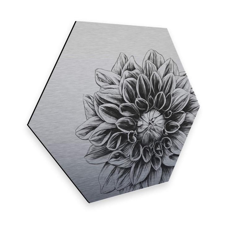 Hexagon - Alu-Dibond Silbereffekt Kools - Dahlia - WA285157