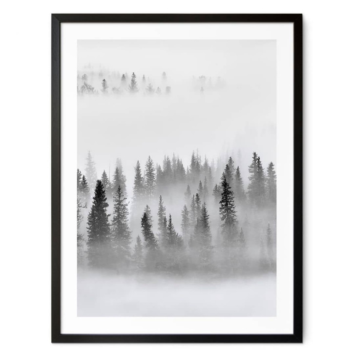 Poster Nebelwald in Schwarz-Weiss - Xu - WA407469
