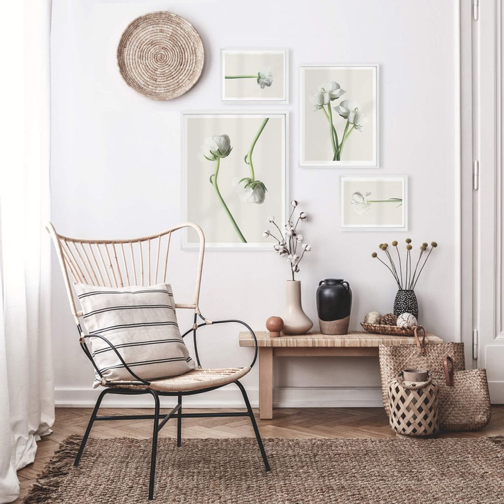 Poster-Set mit Bilderrahmen Ranunkeln (4er Set) - WA259291