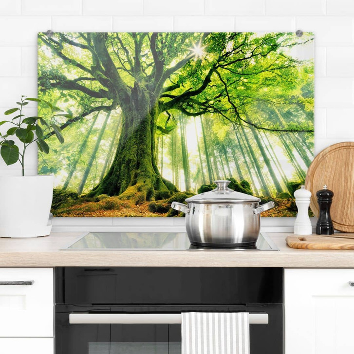 Spritzschutz Märchenwald - Kiciak - WA410585