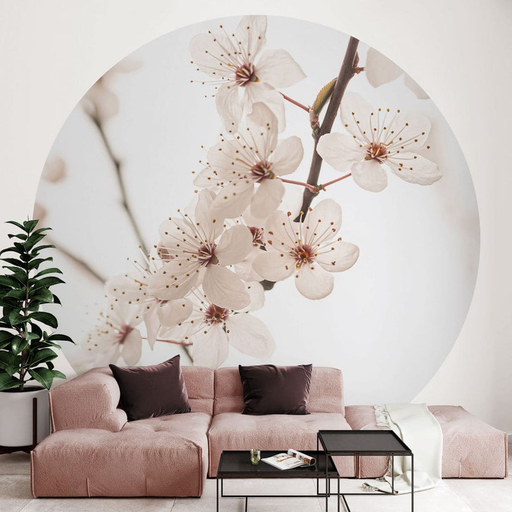 Fototapete Zweig mit weissen Kirschblüten - Sisi & Seb - Rund - Selbstklebend/Vlies - WA471272