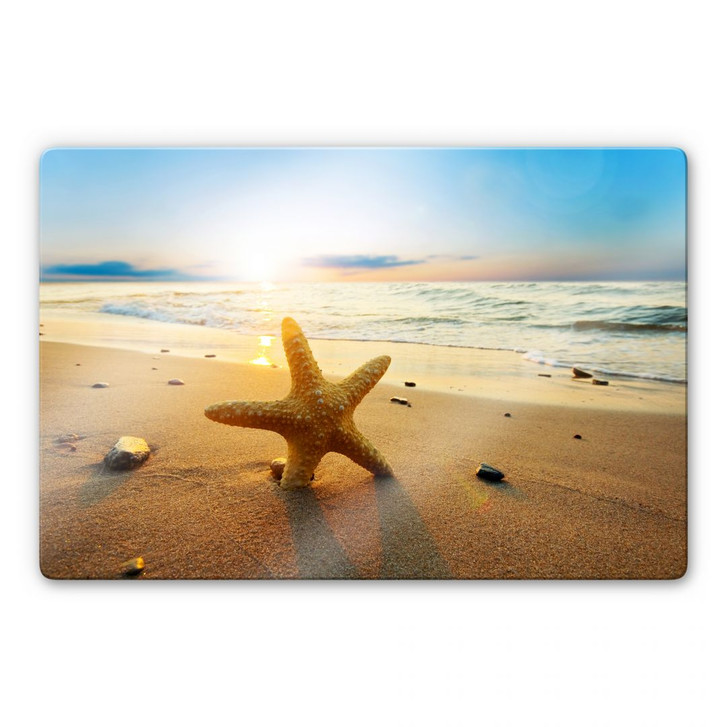 Glasbild Seestern im Sand - WA127579