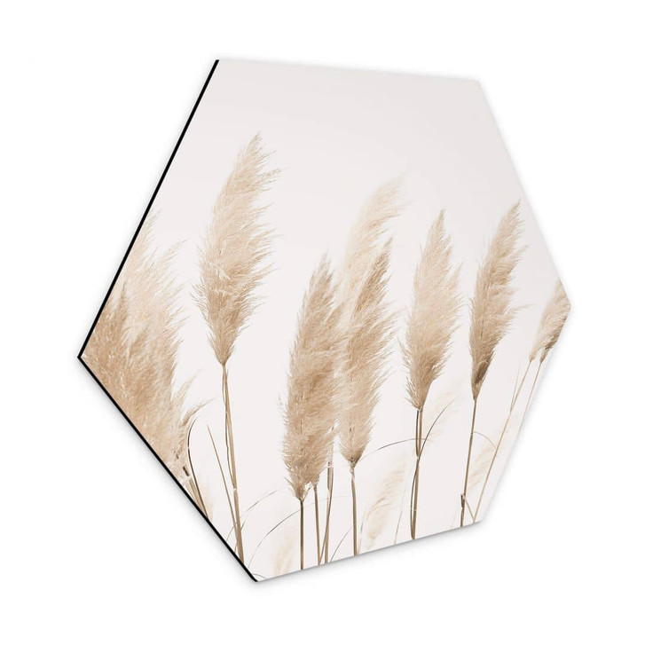 Hexagon - Alu-Dibond Sisi & Seb - Pampas - WA326713