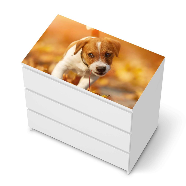 Möbelfolie IKEA Malm Kommode 3 Schubladen oben - Jack the Puppy - CR116396