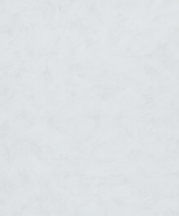 Vliestapete mit leichter Struktur weiss, grau Putzoptik - WA446417