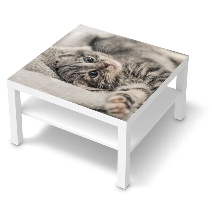 Möbelfolie IKEA Lack Tisch 78x78cm - Kitty the Cat - CR118464