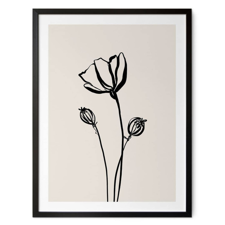 Poster Line Art Mohnblume - Cats & Dotz - WA498196