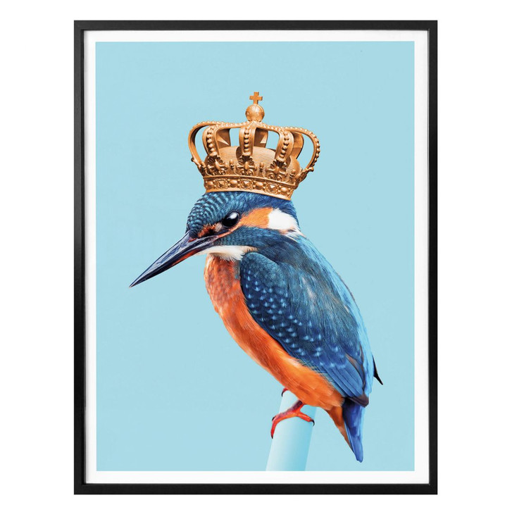 Poster Loose - Kingfisher - WA281615