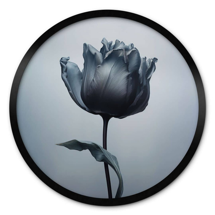 Poster Samtige Tulpe in Schwarz - Paksoylu - Rund - WA427464