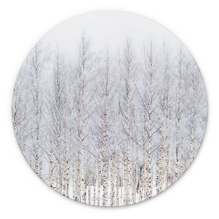 Wandbild Birkenwald im Winter - EMELIEmaria - Alu-Dibond Rund - WA491661