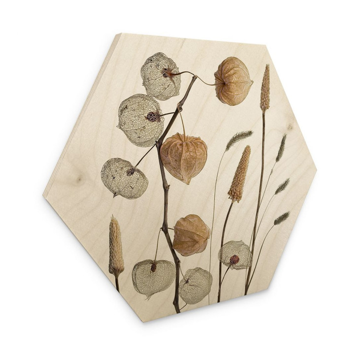 Hexagon Holzbild Getrocknete Lampionblumen - Disher - WA400287