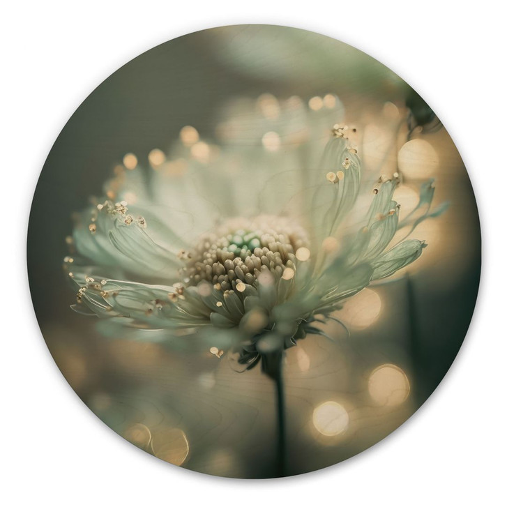Holzbild Zartes Funkeln der Blüten - Treechild - Rund - WA495480