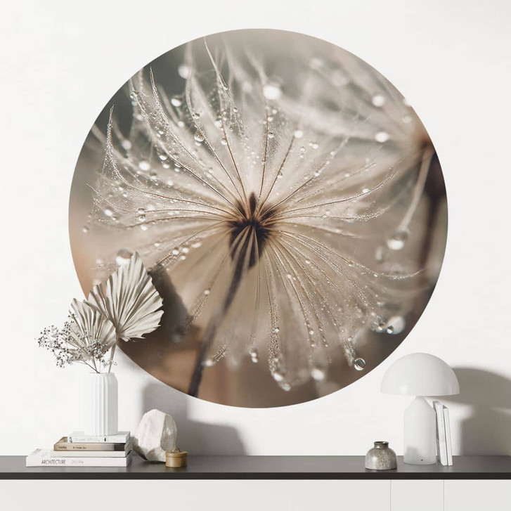 Wandtattoo Pusteblume in Morgentau - Treechild - Rund - WA413268