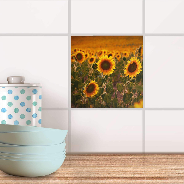 Fliesenaufkleber - Sunflowers - CR101208