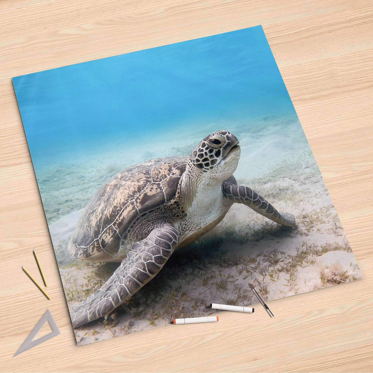 Folienbogen (90x90cm) - Green Sea Turtle - CR107574