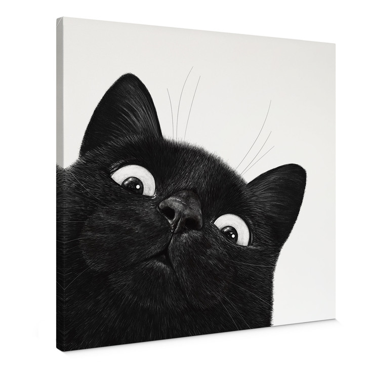 Leinwandbild Lustige schwarze Katze - Korenkova - Quadratisch - WA516643