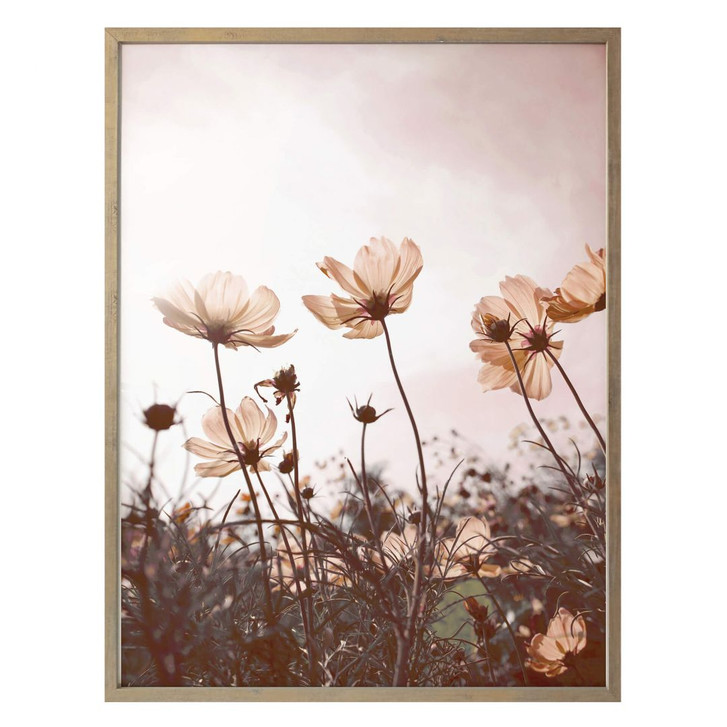 Poster Wilde Wiese - WA249541