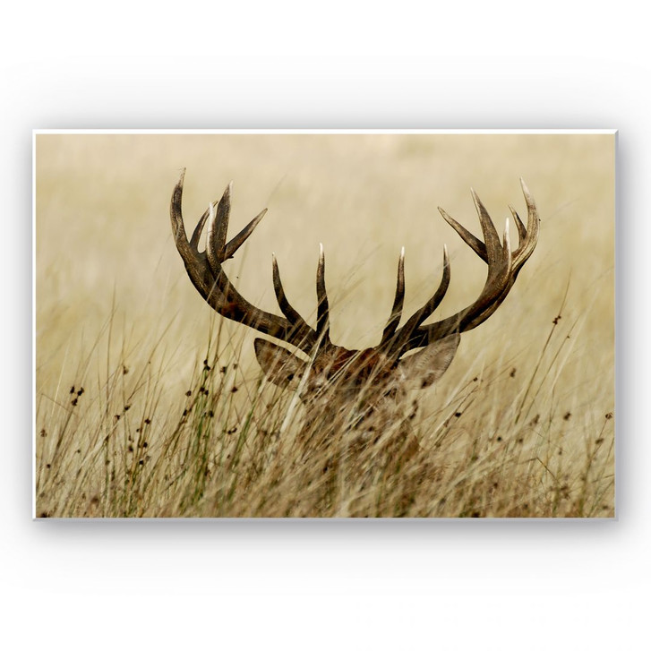 Hartschaumbild Wachsamer Hirsch - WA131165