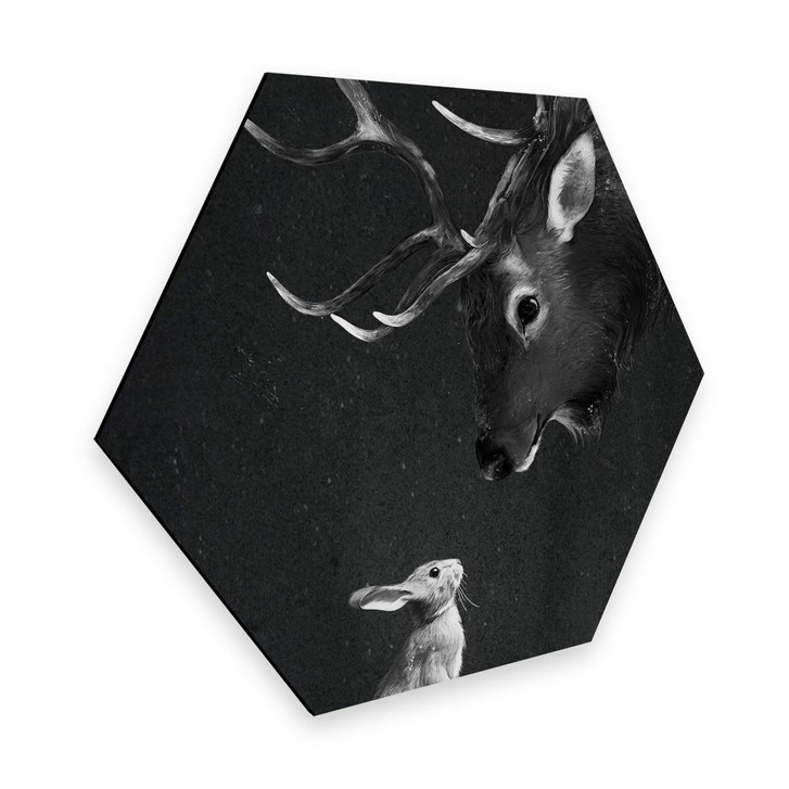 Hexagon - Alu-Dibond Graves - Deer and Rabbit - WA272958