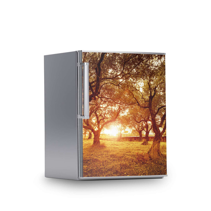 Kühlschrankfolie 60x80cm - Tree Sunlight - CR113309