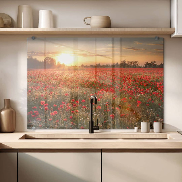 Spritzschutz Mohnfeld im Sonnenuntergang - WA178982