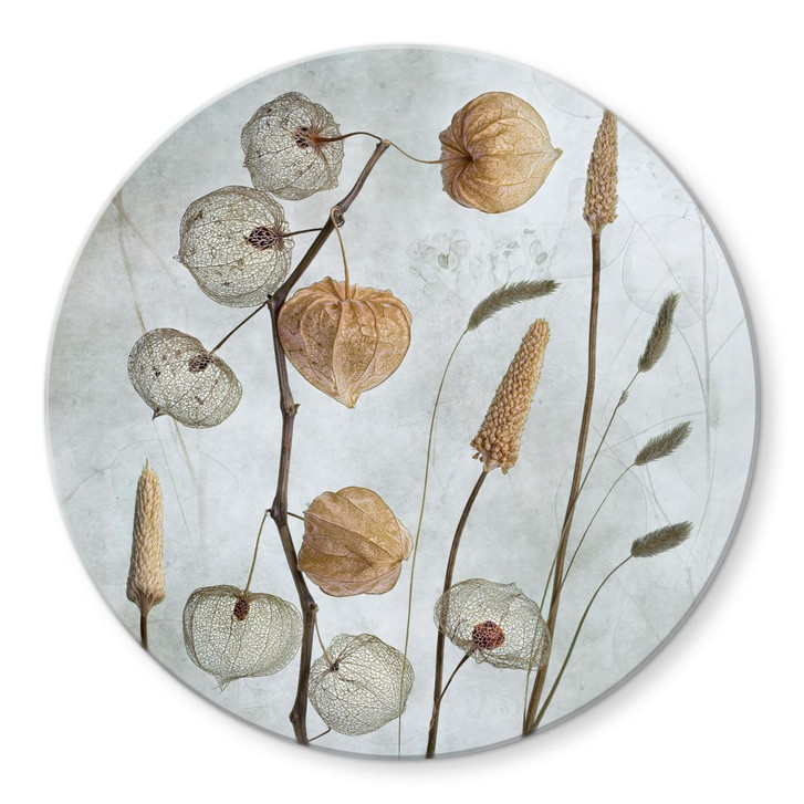 Glasbild Getrocknete Lampionblumen - Disher - Rund - WA399796