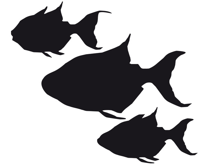 Glasdekor Drei Fische - CG10126
