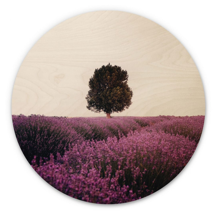 Holzbild Lila Lavendelfelder bei Sonnenuntergang - Cevik - Rund - WA424990