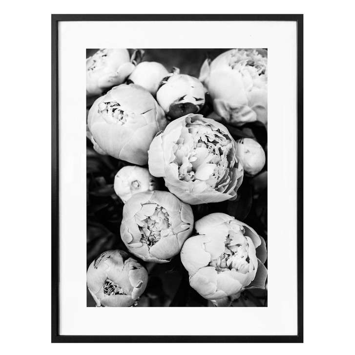 Poster Sisi & Seb - Pfingstrosen - WA259012