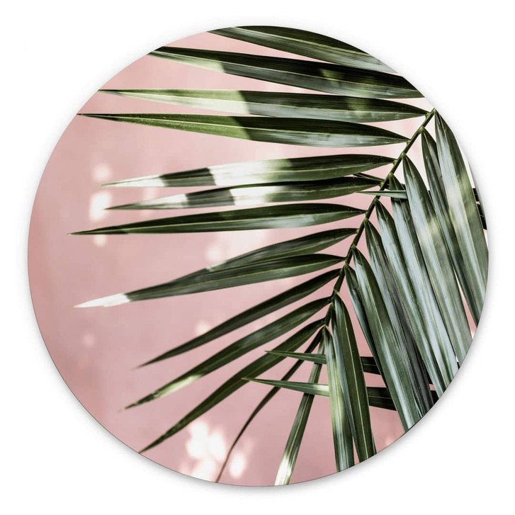 Alu-Dibond Palmenblatt vor rosa Wand - Böhmer - Rund - WA393861
