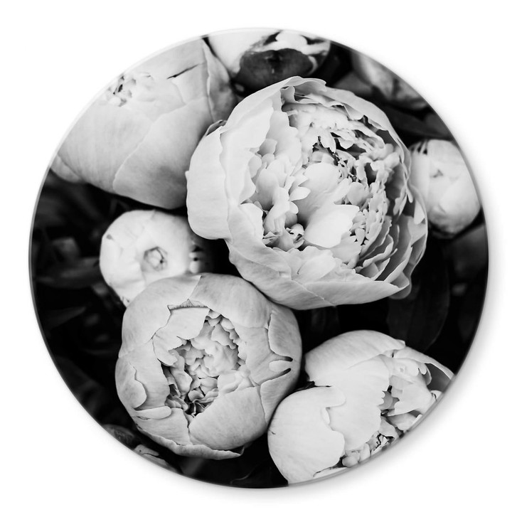 Glasbild Sisi & Seb - Pfingstrosen - Rund - WA354204