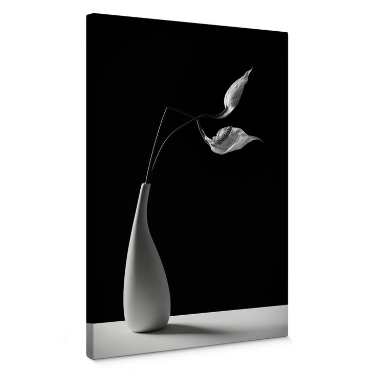 Leinwandbild Oveckova - Pflanzen in einer weissen Vase - WA347732